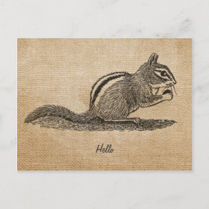 Burlap Vintage hello Chipmunk Postcard