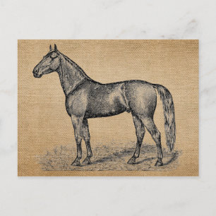 Burlap Vintage Horse Postcard