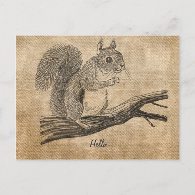 Burlap Vintage Squirrel Postcard (Front)