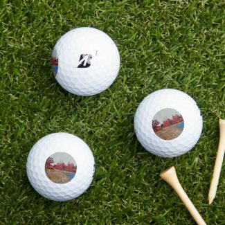 Burleigh Falls Paint 12pk Bridgestone Golf Balls