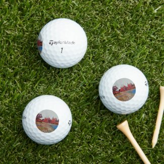 Burleigh Falls Paint 12pk Taylor Made Golf Balls