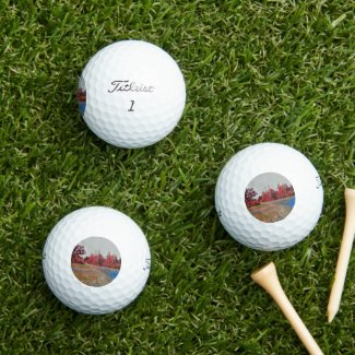 Burleigh Falls Paint 12pk Titleist Golf Balls