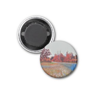 Burleigh Falls Paint 1inch Small Round Magnet