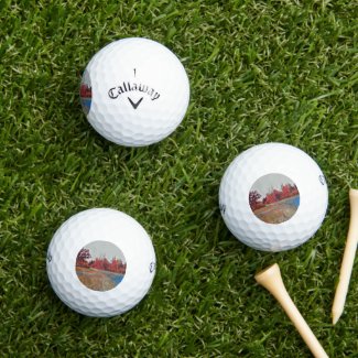 Burleigh Falls Paint 3pk Warbird Golf Balls