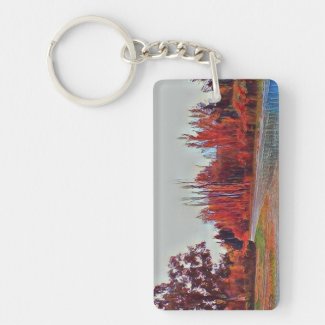 Burleigh Falls Paint Acrylic Keychain