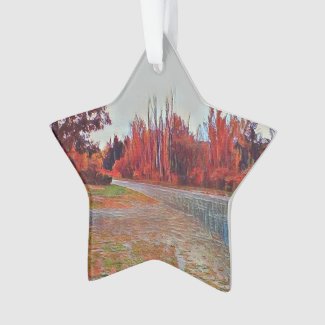 Burleigh Falls Paint Acrylic Ornament