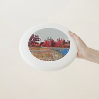 Burleigh Falls Paint Frisbee