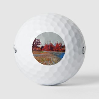 Burleigh Falls Paint Golf Balls
