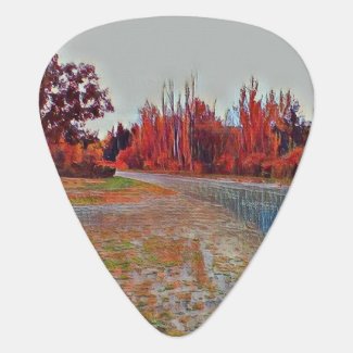 Burleigh Falls Paint Guitar Pick