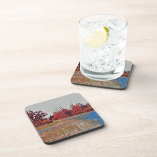 Burleigh Falls Paint Hard plastic coaster