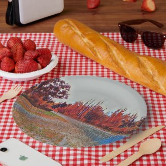 Burleigh Falls Paint Large Paper Plate