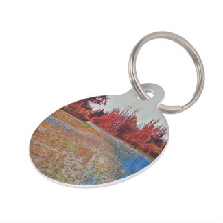 Burleigh Falls Paint Large Round Pet Tag