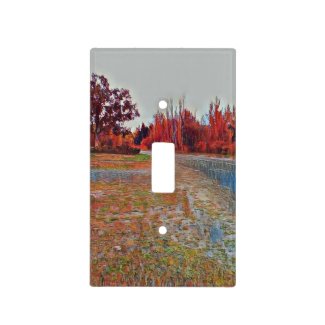 Burleigh Falls Paint Light Switch Cover