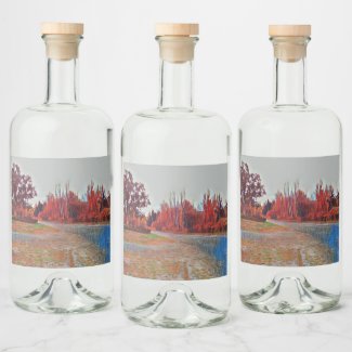 Burleigh Falls Paint Liquor Bottle Label Set