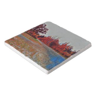 Burleigh Falls Paint Marble Trivet