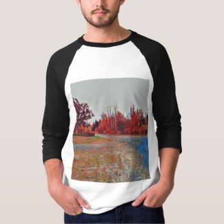 Burleigh Falls Paint Men's 3/4 Sleeve T-Shirt