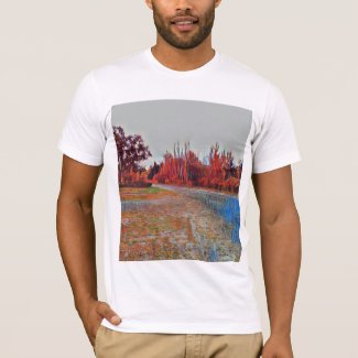 Burleigh Falls Paint Men's Apparel Basic T-Shirt