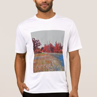 Burleigh Falls Paint Men's Competitor T-Shirt