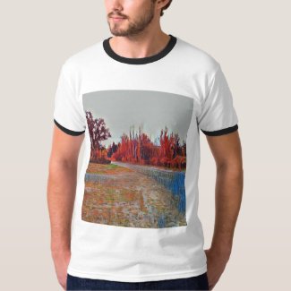 Burleigh Falls Paint Men's Ringer T-Shirt