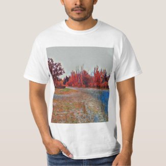 Burleigh Falls Paint Men's Value T-Shirt