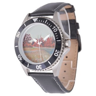 Burleigh Falls Paint Men's Watch