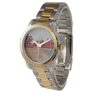 Burleigh Falls Paint Men's Watch