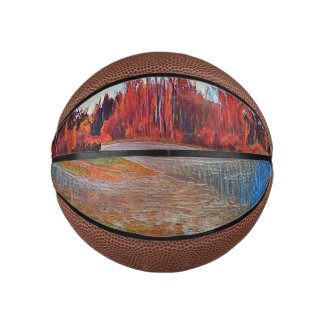 Burleigh Falls Paint Mini Basketball