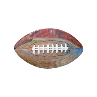 Burleigh Falls Paint Mini Football