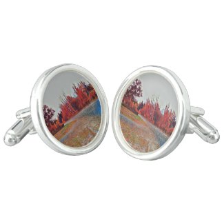 Burleigh Falls Paint Pair of Cufflinks