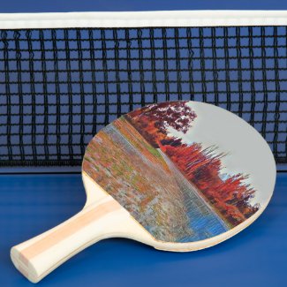 Burleigh Falls Paint Ping Pong Paddle