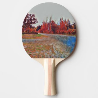 Burleigh Falls Paint Ping Pong Paddle