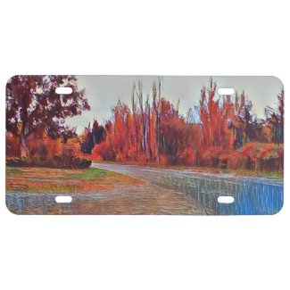 Burleigh Falls Paint Plastic License Plate
