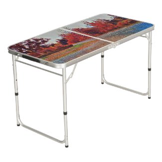 Burleigh Falls Paint Pong Table