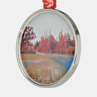 Burleigh Falls Paint Premium Round Ornament