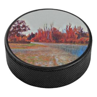 Burleigh Falls Paint Puck