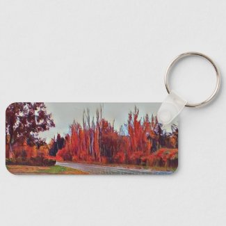 Burleigh Falls Paint Rectangle Aluminum Keychain