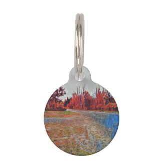 Burleigh Falls Paint Round Pet Tag