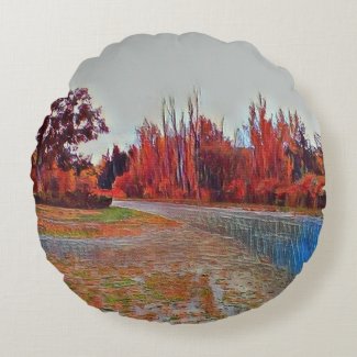 Burleigh Falls Paint Round Pillow