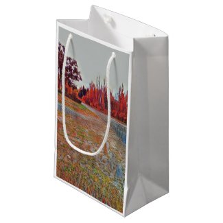 Burleigh Falls Paint Small Gift Bag