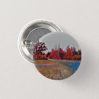 Burleigh Falls Paint Small Round Button