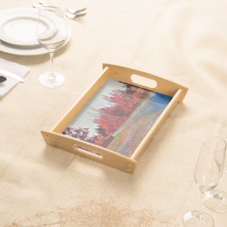 Burleigh Falls Paint Small serving tray