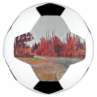 Burleigh Falls Paint Soccer Ball
