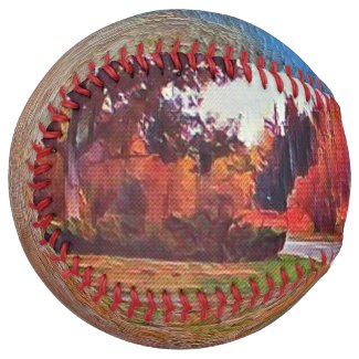 Burleigh Falls Paint Softball