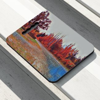 Burleigh Falls Paint Stadium Medium Seat Cushion