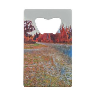 Burleigh Falls Paint Stainless Steel  Credit Card Bottle Opener