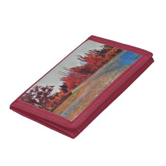 Burleigh Falls Paint Wallet