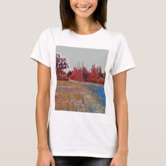 Burleigh Falls Paint Women's Basic T-Shirt