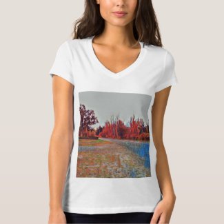 Burleigh Falls Paint Women's Jersey VNeck T-Shirt