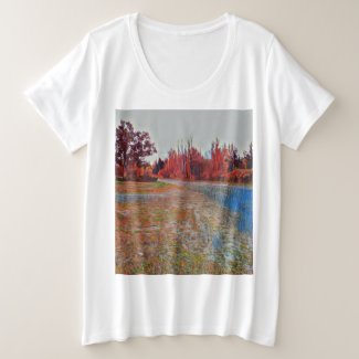 Burleigh Falls Paint Women's Plus T-Shirt