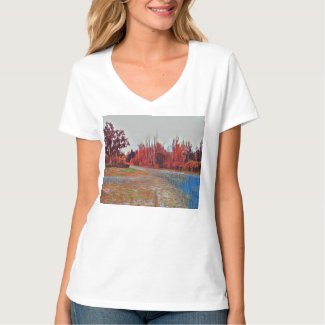 Burleigh Falls Paint Women's V-Neck T-Shirt